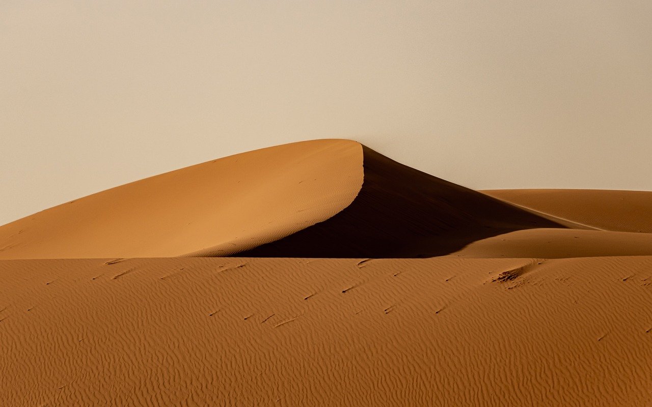 Dunes AI wellness environment