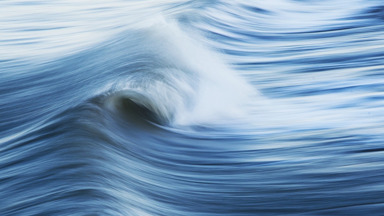 Ocean AI wellness environment